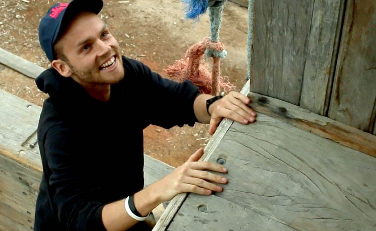 Nick Indigo Traveller