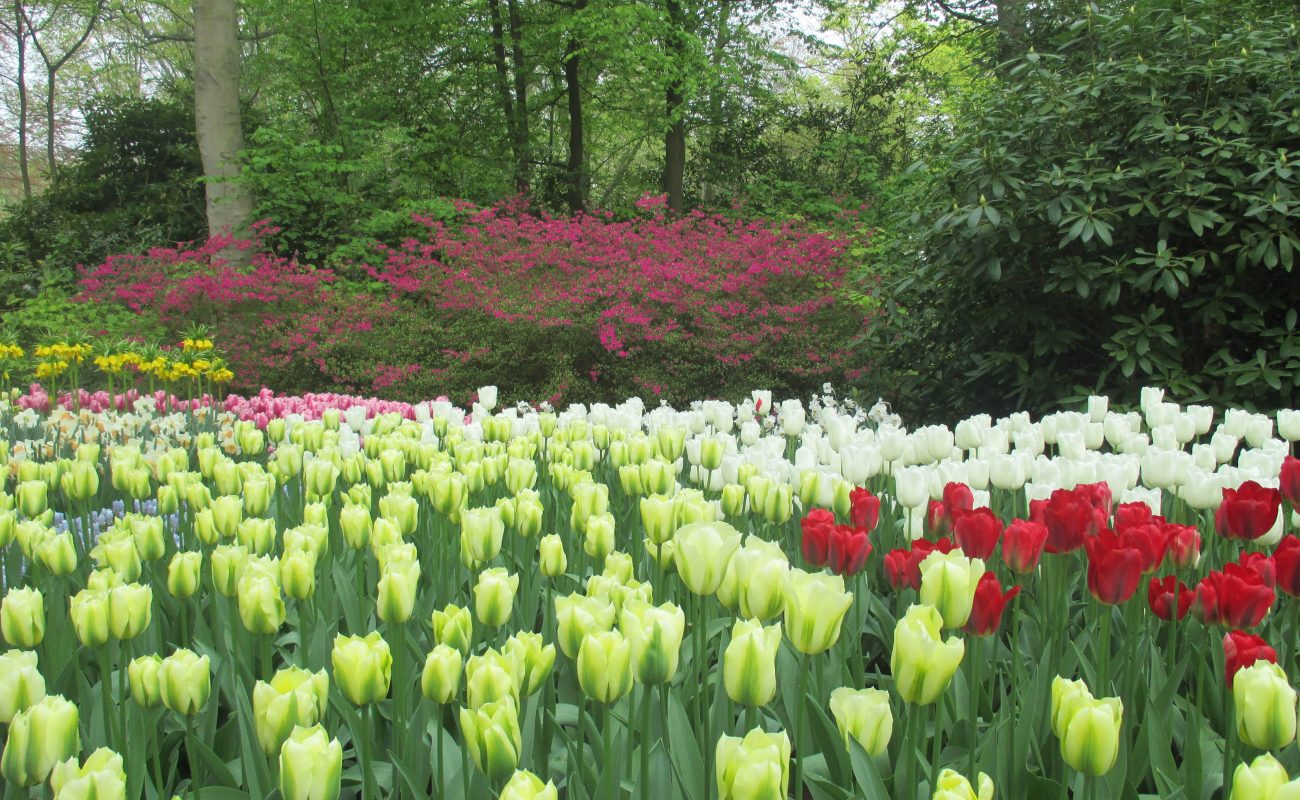 Neukenhof-gate of nations