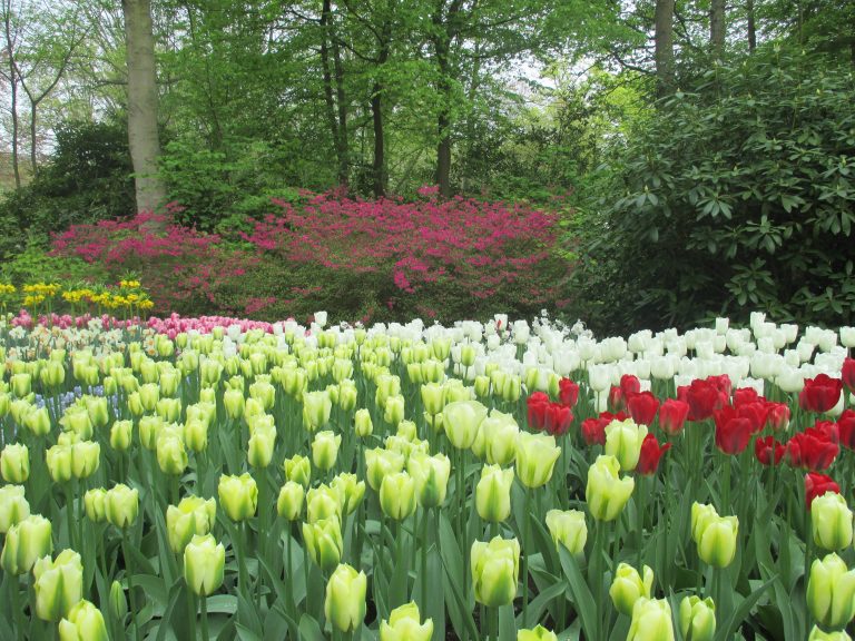 Neukenhof-gate of nations