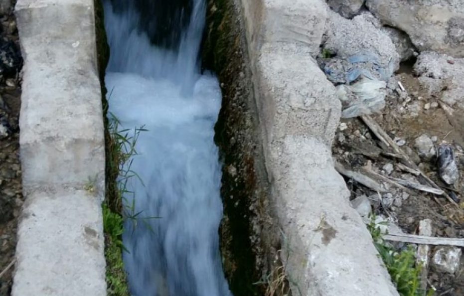 Nayeb Ecodologe