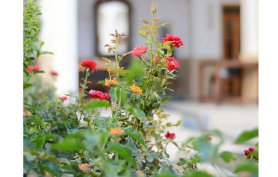Saraye Darb Bagh