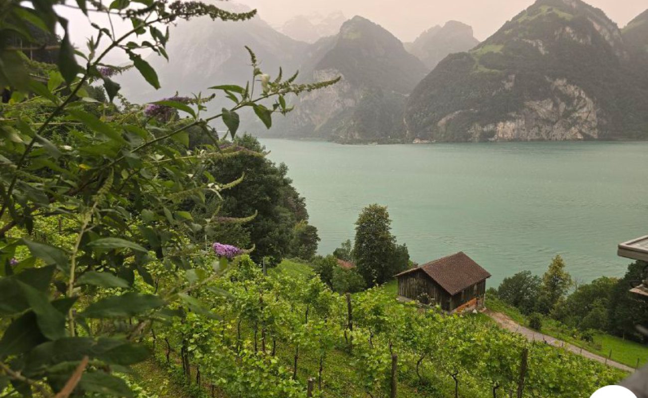 Sustainable Tourism Development