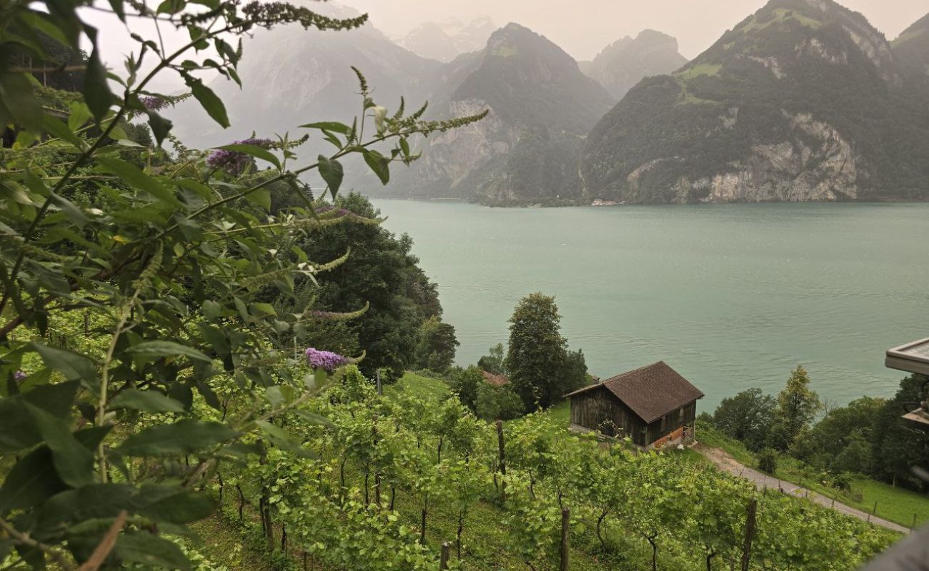 switzerland2-gate of nations