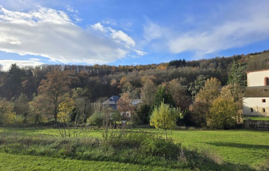 Erbe und Harmonie: 6 Tage Wein, Musik und historische Wunder