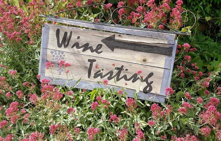 Erbe und Harmonie: 6 Tage Wein, Musik und historische Wunder