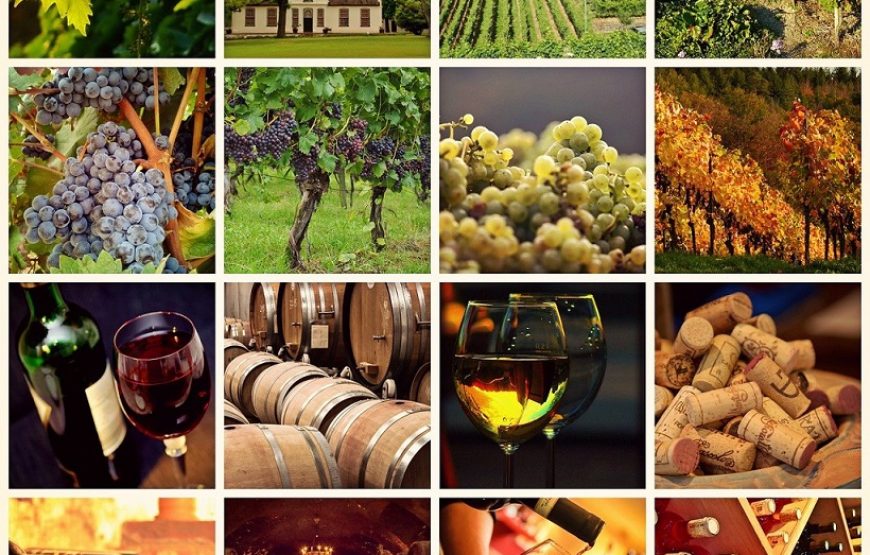 Erbe und Harmonie: 6 Tage Wein, Musik und historische Wunder
