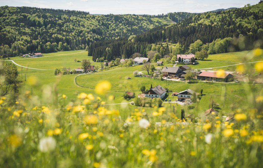 1 Week Diving Holiday in Attersee
