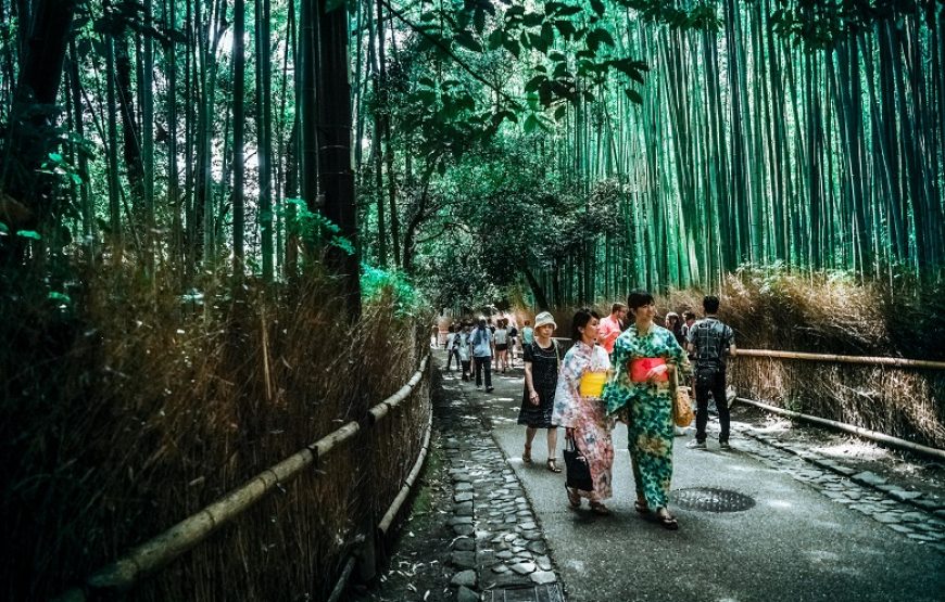 11-tägige Japan-Rundreise