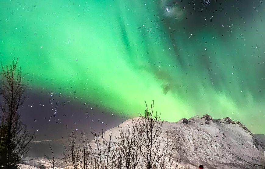 9-tägige Norwegen-Reise mit Fjord-Erlebnis