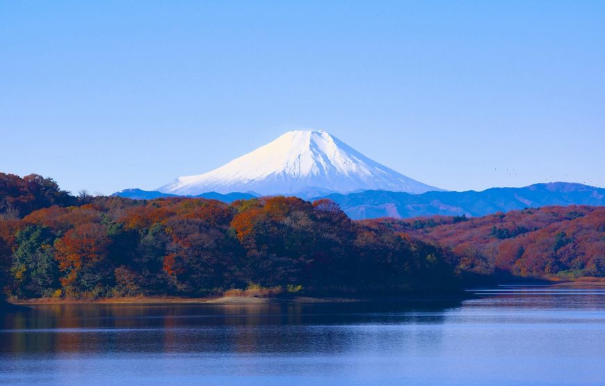 11-tägige Japan-Rundreise