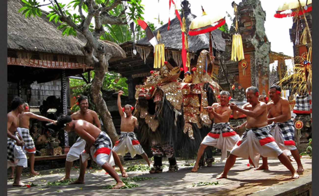 Best diving tour Phu Quoc and Bali