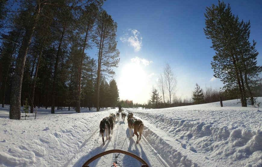 Finnland & Lappland Entdeckungsreise