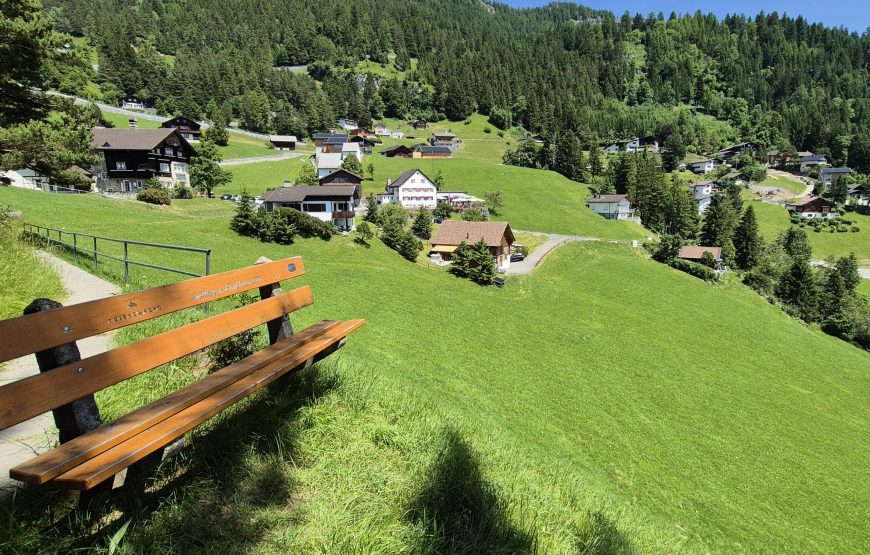 5-day highlights tour of Liechtenstein and Switzerland
