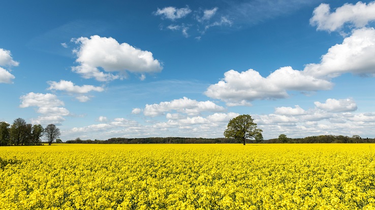 Schleswig-Holstein tour