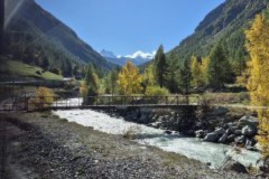 Best Alpine Tour Package