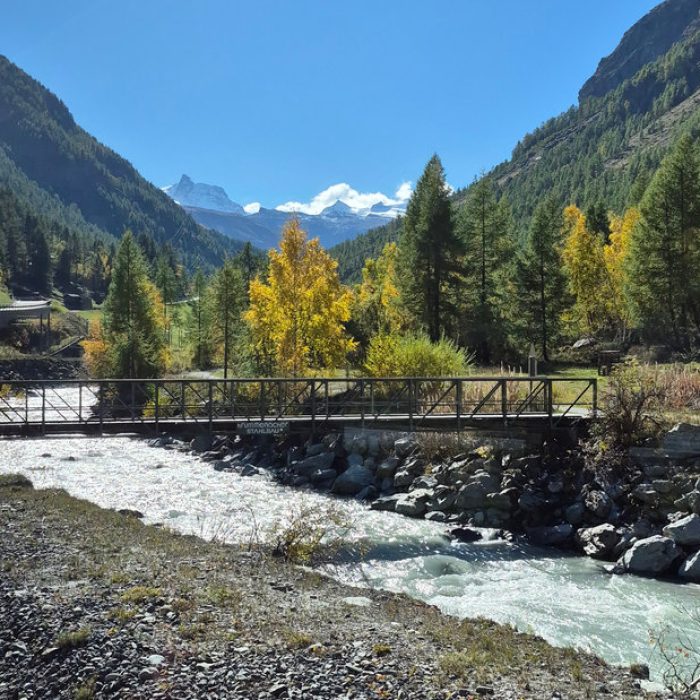 Best Alpine Tour Package