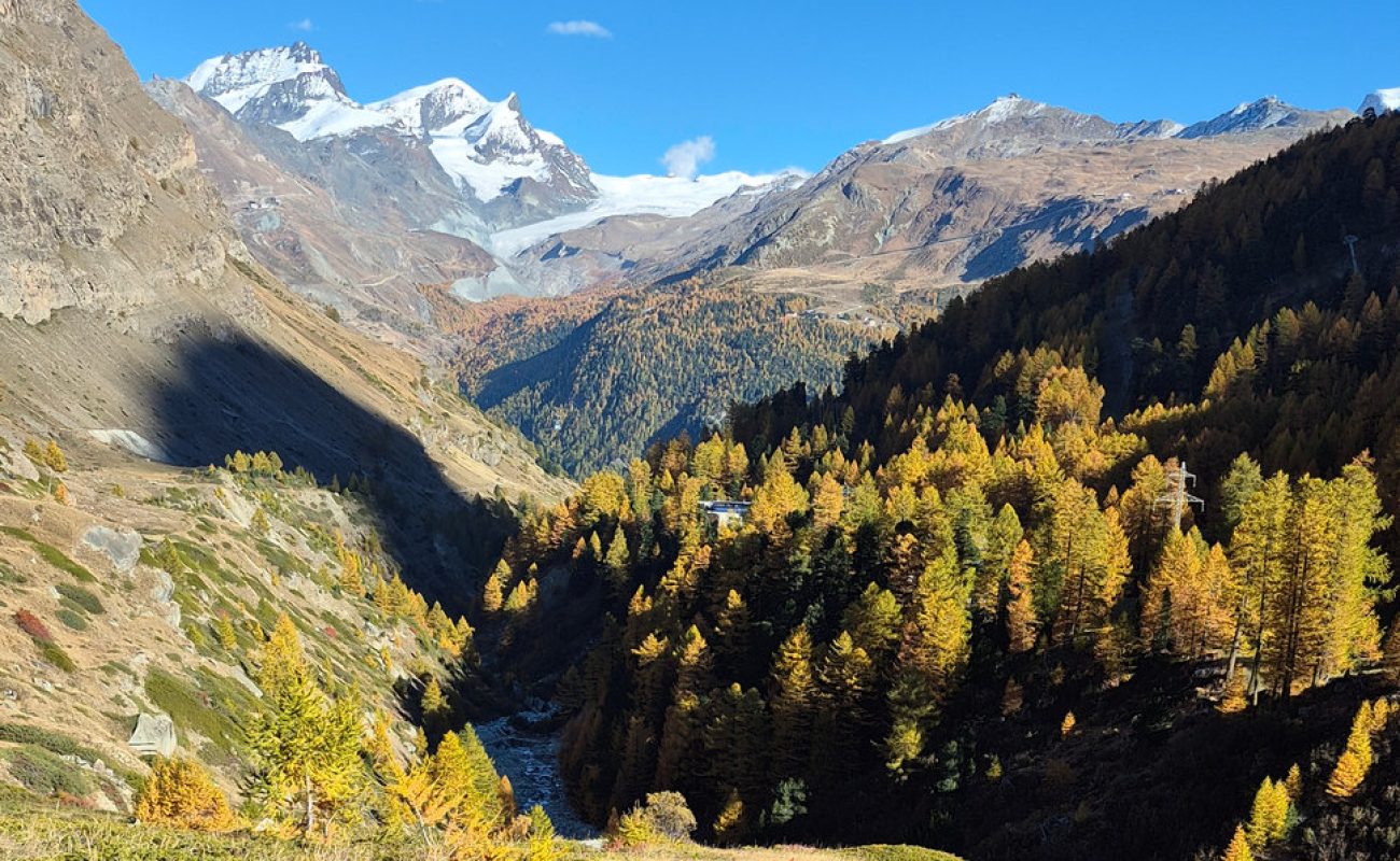 Glacier Express Jungfraujoch Tour