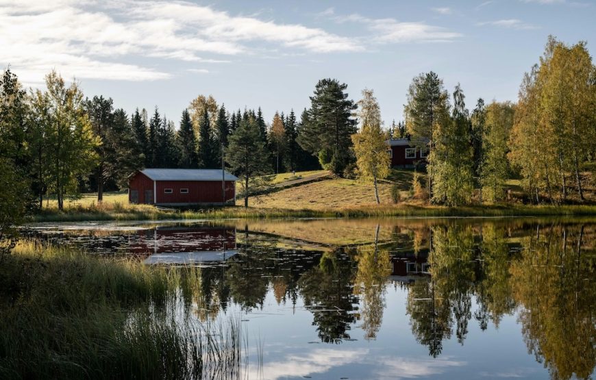 Finland & Lapland Exploration Tour by Coach