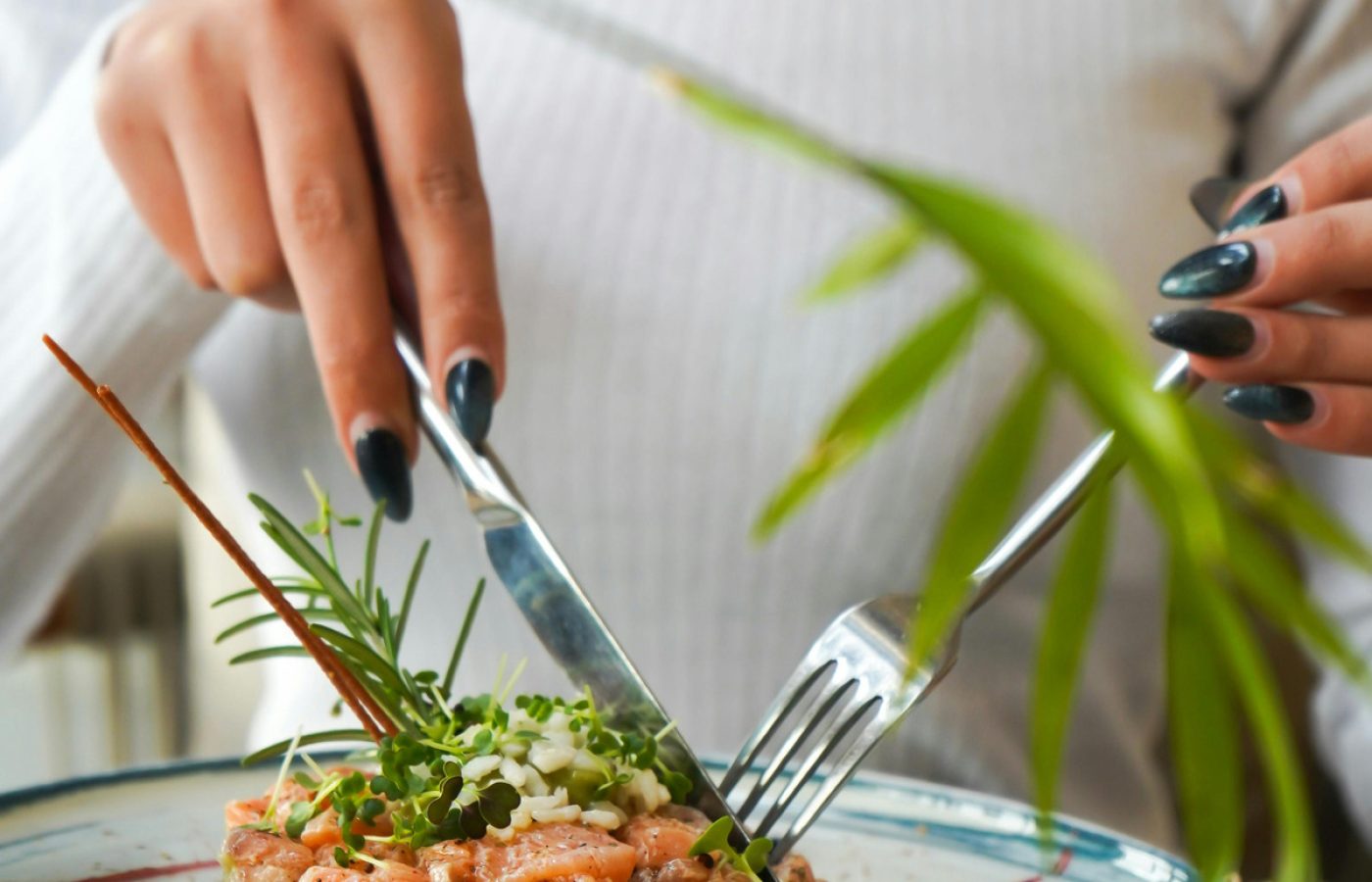 497cafa06104ba06b355207fa086db3a